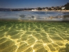 Water web